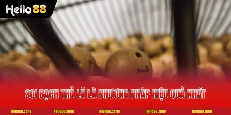 5 Cách Soi Cầu Lô Hiệu Quả Nhất Cho Người Mới Bắt Đầu 4 Soi bạch thủ lô là phương pháp hiệu quả nhất